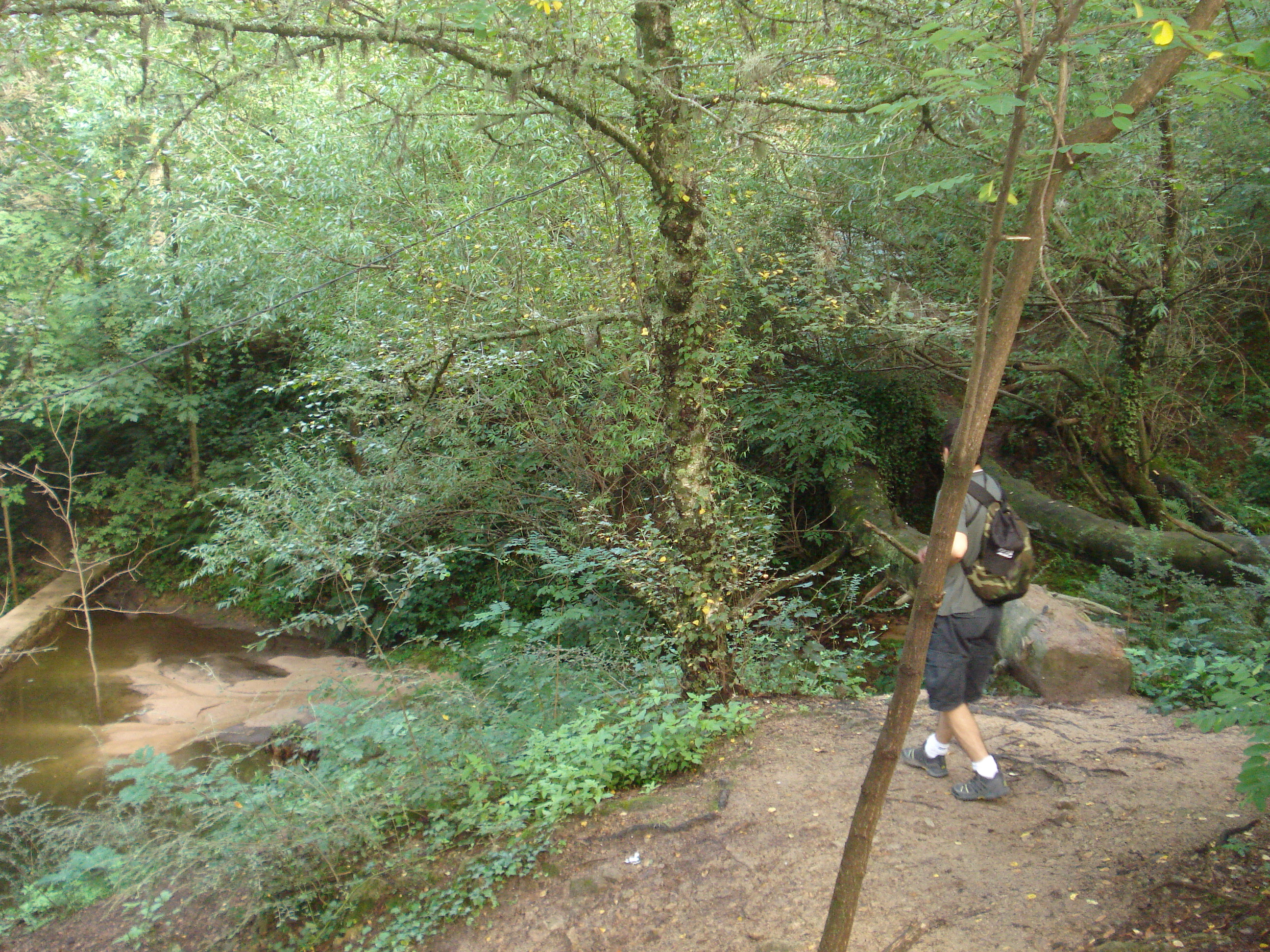 fotos/2011 - Los Reartes/DSC00479.JPG